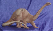 Dinosaur Pleurocoelus wood carving by art export bali indonesia